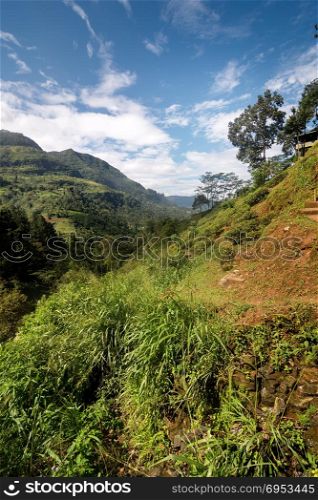 View of landscape with mountains in Sri Lanka. Landscape of Sri Lanka
