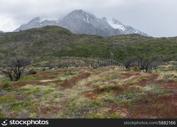 View of landscape with mountains in the background, Torres del Paine National Park, Patagonia, Chile