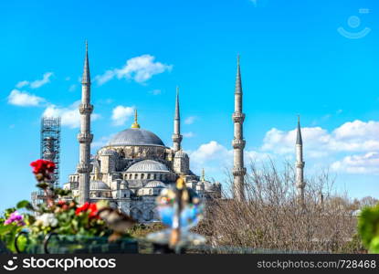 View of magestic Blue Mosque in spring, Istanbul. Blue Mosque in spring