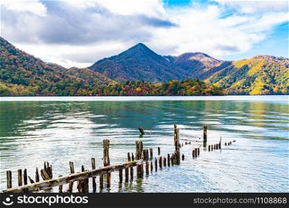 View of mountain surrounded Lake Chuzenji with the colorful foliage of autumn season on the shore and the reflection in Nikko City, Tochigi Prefecture, Japan.