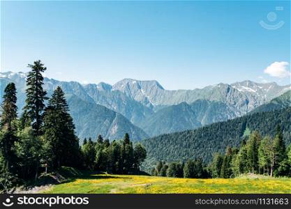 View of Mountains with green forest landscape