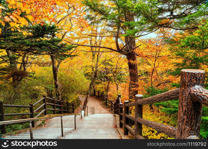 View of natural walking trail along the mountain stream in colorful foliage of autumn season forest at Nikko City in Tochigi Prefecture, Japan.