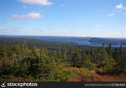 view of Nature in NewFoundLand, canada