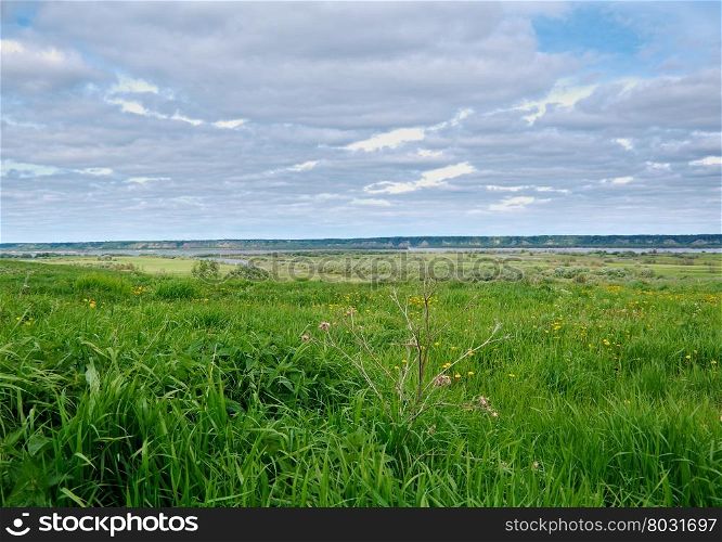 View of Northern Dvina River .Arkhangelsk region. Russian North.