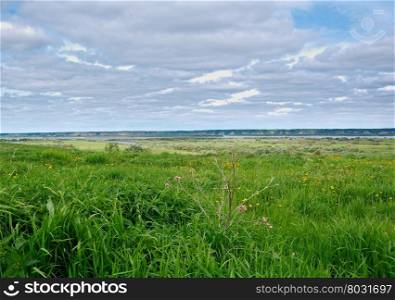 View of Northern Dvina River .Arkhangelsk region. Russian North.