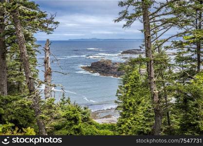 View of pacific coastline and rain forest near Tofino, Vancouver Island, British Columbia, Canada