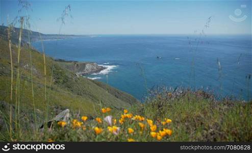 View of pacific ocean with poppies in foreground