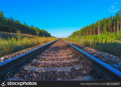 View of railroad track in summer evening. Railway in summer evening