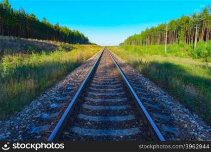 View of railroad track with green forest on both sides. View of railroad track