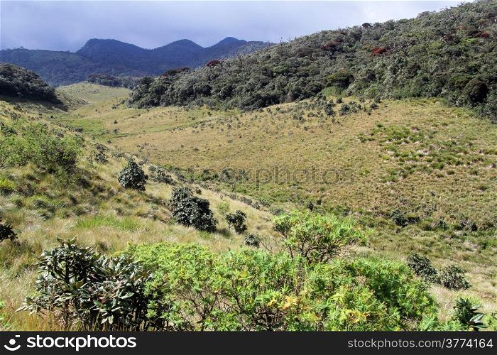View of ravine in the Horton plains national park, Sri Lanka