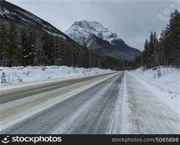 View of road leading towards mountain, Jasper, Jasper National Park, Alberta, Canada