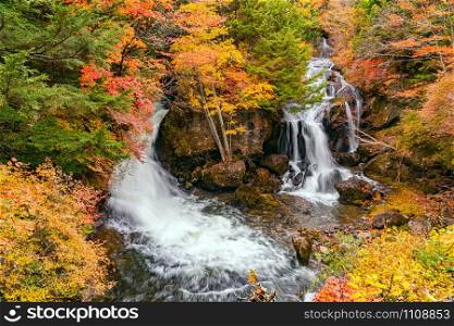 View of Ryuzu Waterfalls in Nikko City with the beautiful color of autumn foliage forest, Tochigi Prefecture, Japan.