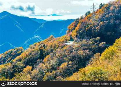 View of s-curved road on the mountain in the forest of colorful foliage of autumn season in sunny day at Nikko City, Tochigi Prefecture, Japan.