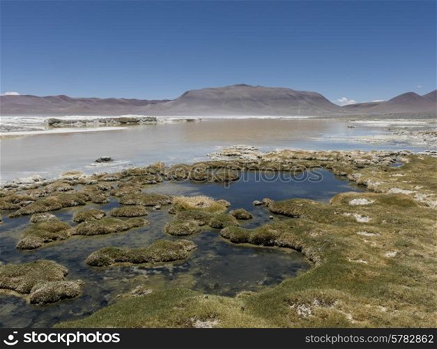 View of Salar de Atacama, San Pedro de Atacama, El Loa Province, Antofagasta Region, Chile