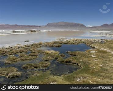 View of Salar de Atacama, San Pedro de Atacama, El Loa Province, Antofagasta Region, Chile
