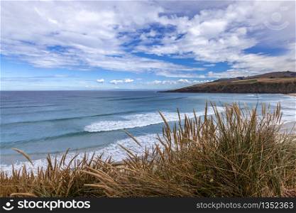 View of Sandfly Bay in the South Island of New Zealand