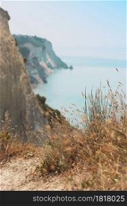 view of sheer white cliffs of Cape Drastis near Peroulades village on Corfu Island in Greece, spikelets in the foreground