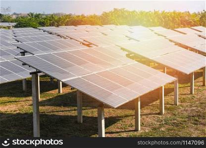 View of solar panels in the solar farm with green tree and sun lighting reflect / solar cell energy or renewable energy concept