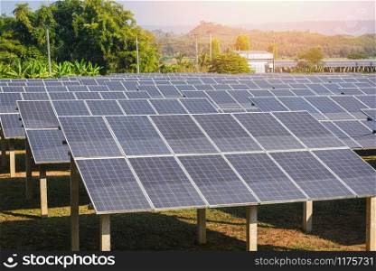 View of solar panels in the solar farm with green tree and sun lighting reflect / solar cell energy or renewable energy concept