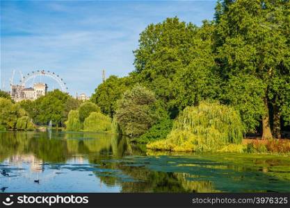View of St James&rsquo;s Park in London with London Eye in the background on a beautiful summer afternoon