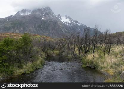 View of stream with mountains in the background, Torres del Paine National Park, Patagonia, Chile