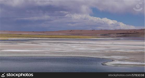 View of Tara Salt Flat, Los Flamencos National Reserve, San Pedro de Atacama, El Loa Province, Antofagasta Region, Chile