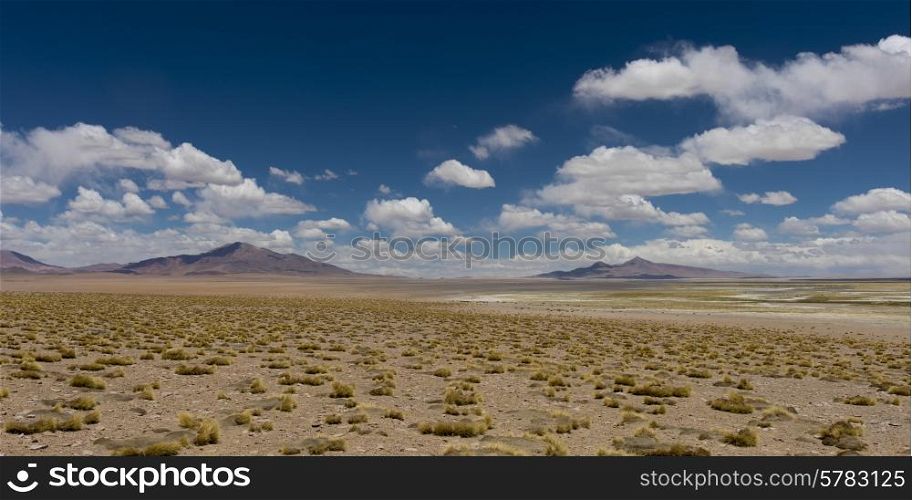 View of Tara Salt Flat, Los Flamencos National Reserve, San Pedro de Atacama, El Loa Province, Antofagasta Region, Chile