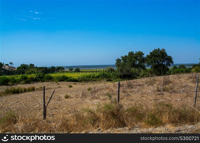 view of the agriculture fields in Comporta, Alentejo Portugal