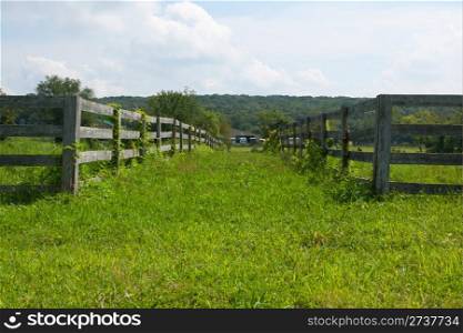 View of the ancient wooden fence on the farm.