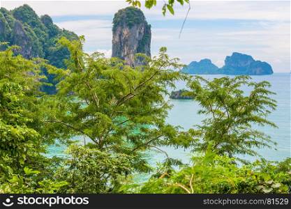 View of the Andaman Sea in Thailand through the foliage of trees