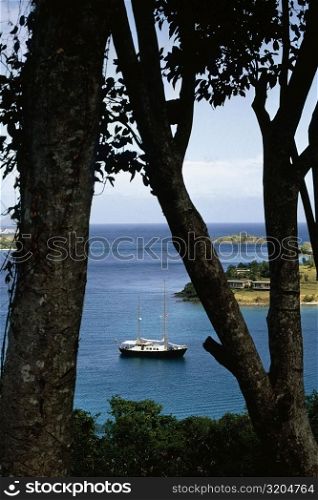 View of the bay through trees, St. John, U.S. Virgin Islands