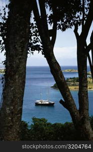 View of the bay through trees, St. John, U.S. Virgin Islands