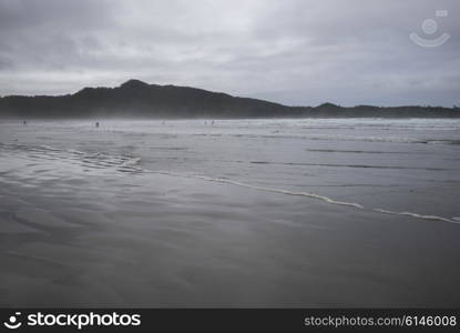 View of the beach, Pacific Rim National Park Reserve, British Columbia, Canada