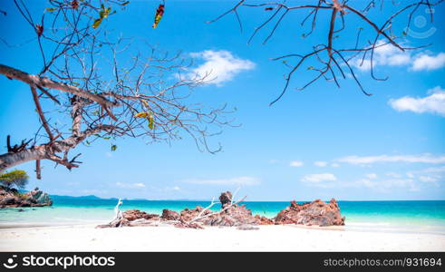 View of the beach with a tree and the rock in Sali Island, Myanmar
