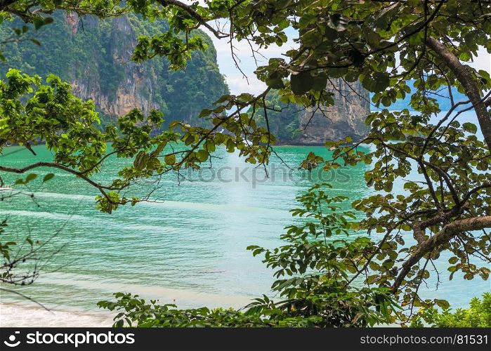 view of the beautiful bay through the foliage of a tree