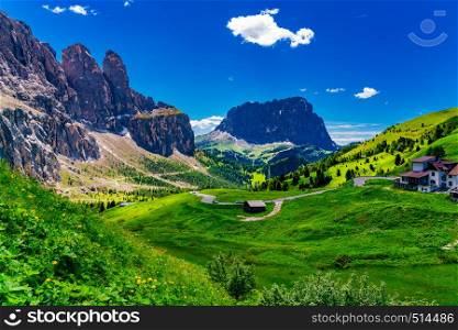 View of the beautiful Dolomites at the Gardena Pass with the road through the grassy mountain the flowers field and the Sassolungo mountain in the background