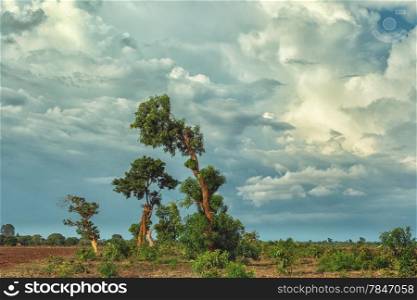 View of the beautiful landscape with stormy clouds in a rural village area in Malawi