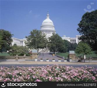 View Of The Capitol From A Flower Garden