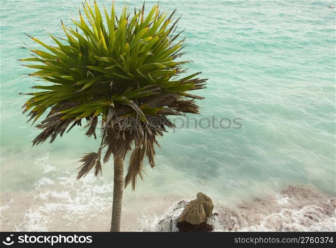 View of the Caribbean beach.