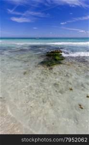 View of the Caribbean beach with crystal clear water.. View of Caribbean Beach.