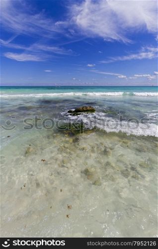View of the Caribbean beach with crystal clear water.. View of Caribbean Beach.