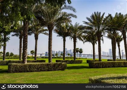View of the date palm trees garden near the Louvre Abu Dhabi Museum and the Abu Dhabi City skyline in the background