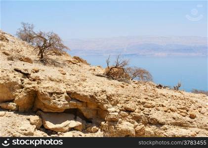 View of the Dead Sea from the slopes of the Judean Mountains in the area of the reserve of Ein Gedi