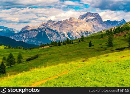 View of the Dolomites mountain with the hill of flowers field at the Falzarego Pass in Province of Belluno Italy