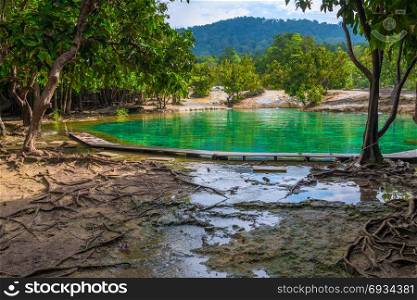 view of the emerald lake in Krabi, Thailand, no people