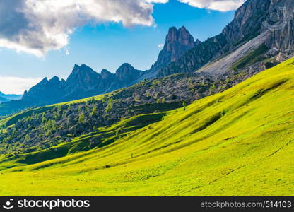 View of the field of yellow flowers and rocky hill on the Dolomites mountain at Giau Pass in Belluno Italy