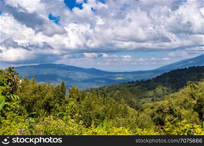 View of the forest and the mountains of Aberdare Park in central Kenya. View of the forest and the mountains