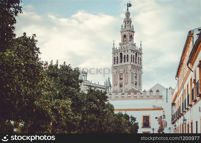 View of the Giralda tower in Sevilla, Spain, behind the orange typical orange trees. The Giralda tower behind the trees