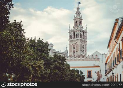 View of the Giralda tower in Sevilla, Spain, behind the orange typical orange trees. The Giralda tower behind the trees