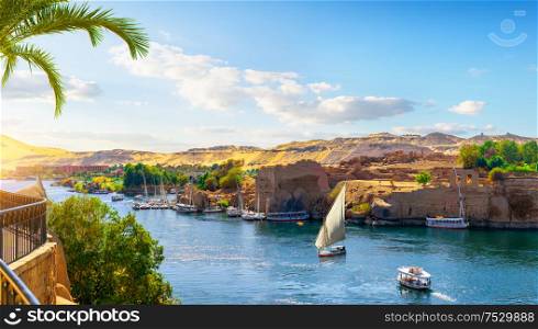 View of the Great Nile in Aswan. Nile in Aswan
